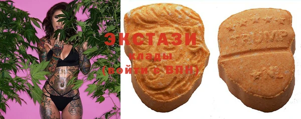 тгк Алексин