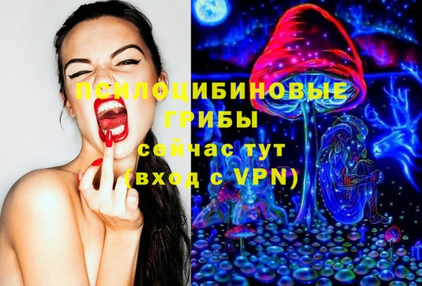 тгк Алексин
