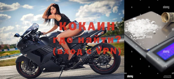 стаф Аркадак