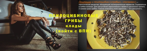 тгк Алексин